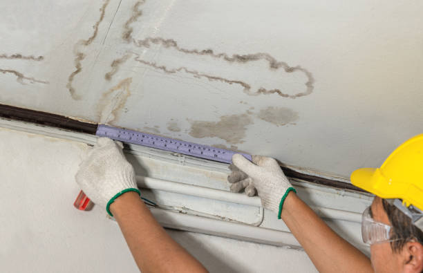Reliable Flood Cleanup contractor in Lowell, MI by Water Damage Irwin